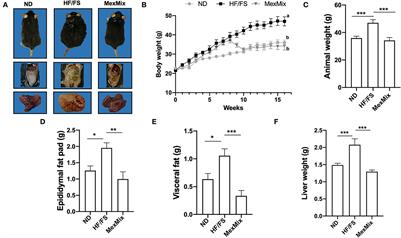 Dietary supplementation with Mexican foods, Opuntia ficus indica, Theobroma cacao, and Acheta domesticus: Improving obesogenic and microbiota features in obese mice